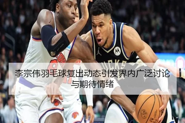 李宗伟羽毛球复出动态引发界内广泛讨论与期待情绪